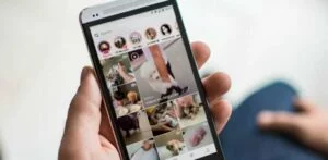 como apagar sugestões de pesquisa do instagram